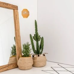 Corep Applique En Coton Et Cannage H21cm Moutarde - Jarawa 11 Corep Applique En Coton Et Cannage H21cm Moutarde - Jarawa -Market Set Shop 622631 FRN04 WEB