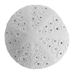 SEMA DESIGN Lampe Galet Shell Blanche En Porcelaine 5 SEMA DESIGN Lampe Galet Shell Blanche En Porcelaine -Market Set Shop 97514 DET02 WEB